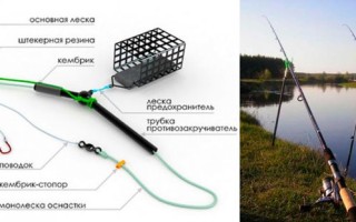 Фидерная оснастка для ловли на течении и в стоячей воде