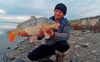 Ловля карпа на коммерческих водоемах. Что скрывают «платники»?