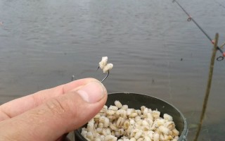 Перловка для рыбалки на карася