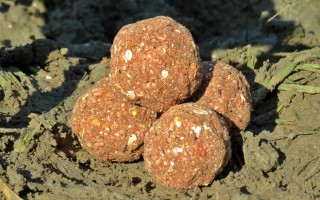Прикормка для карпа и сазана: как приготовить своими руками