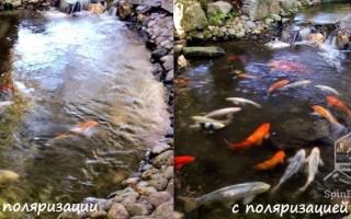 Как выбрать поляризационные очки для рыбалки