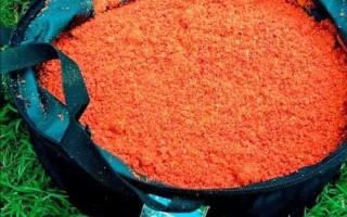 Ловля леща осенью: Прикормка и снасти для ловли леща осенью